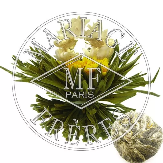 MARIAGE FRÈRES Chine | Thé sculpté^MONTAGNE DE LA LUNE