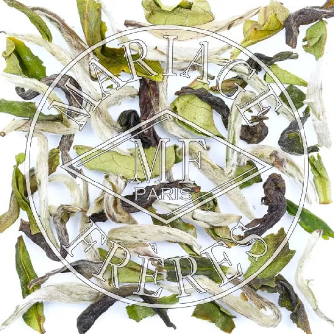 MARIAGE FRÈRES Darjeeling Nouveau | Darjeeling^NAMRING FTGFOP1 DJ2/216